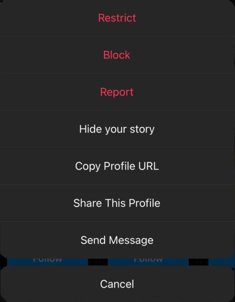 Screenshot Report an account in the Three Dots menu on Instagram