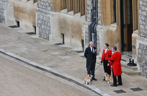 The Duke of England and the Duke of York stand with Queen Corgi, Muick and Sandy inside Windsor Castle on September 19, 2022 before the devotional service of Queen Elizabeth II of the United Kingdom, Getty Images Photo by Glynn Kirk pool afp