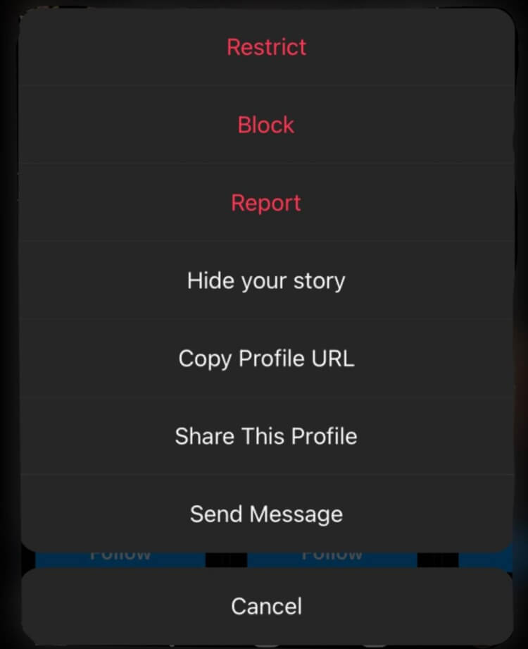 Screenshot Reporting an account on Instagram Three Dots Menu